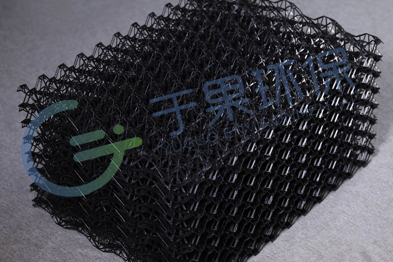 ����ʪ��-��������