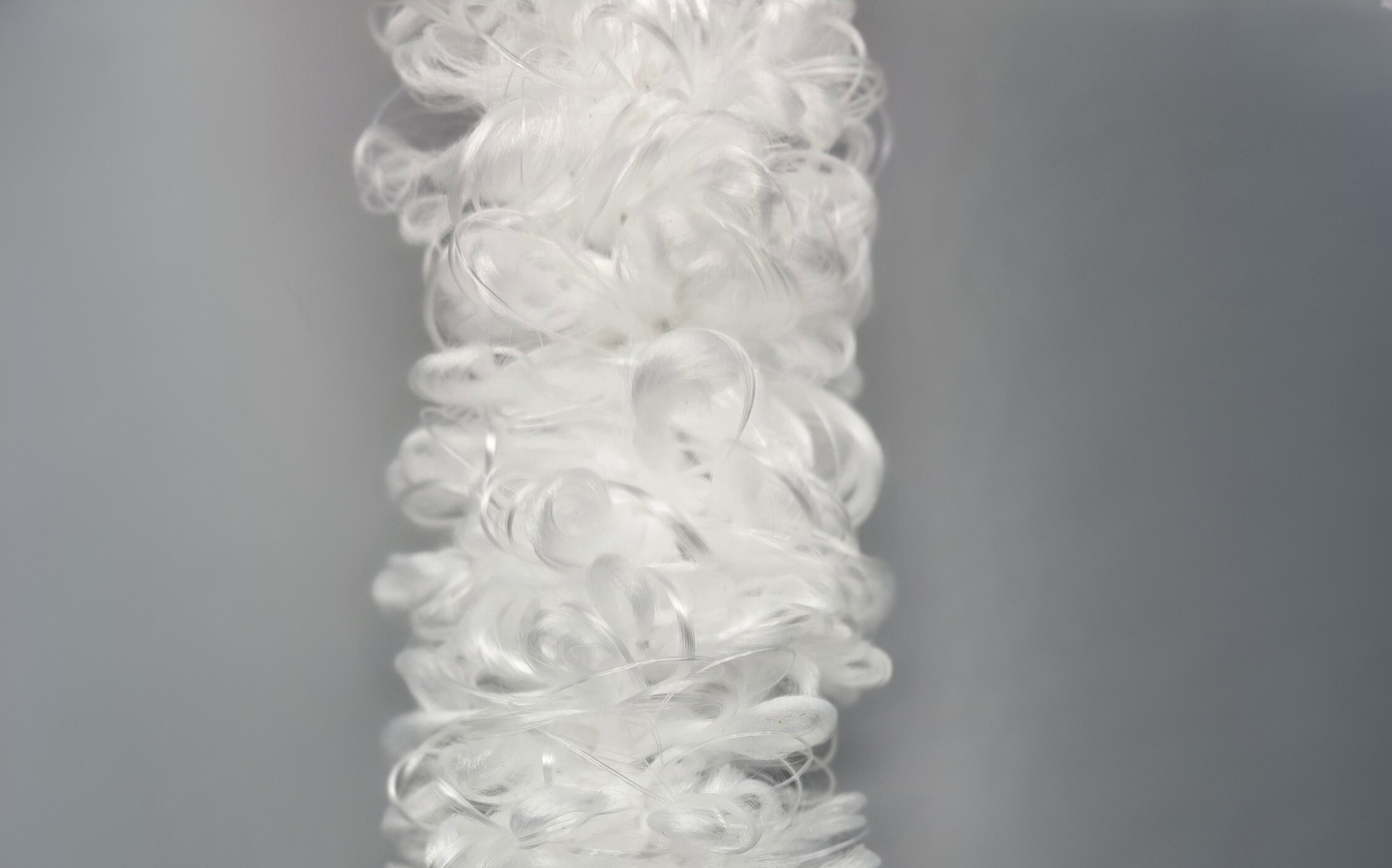 BioX-R ����������